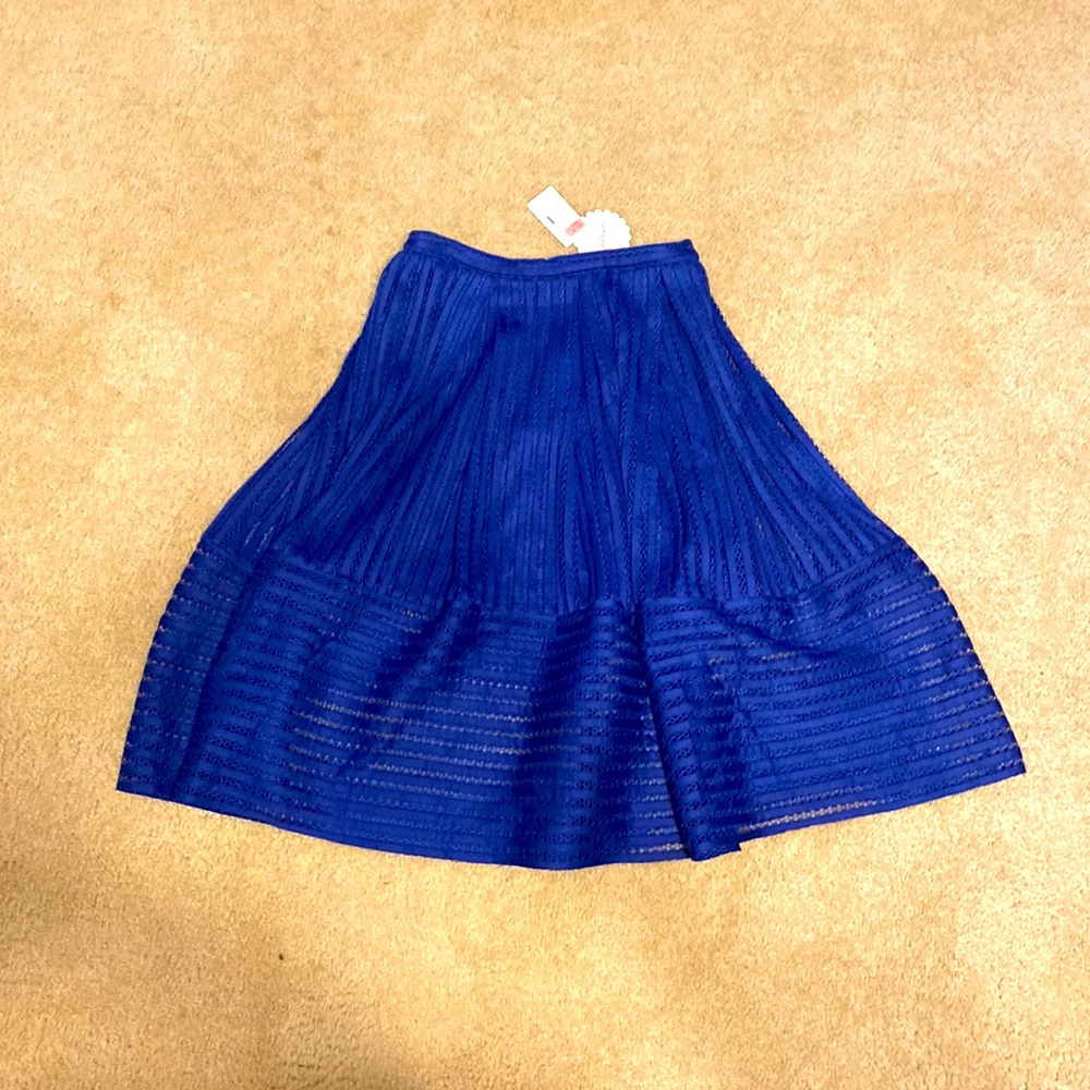 Blue skirt